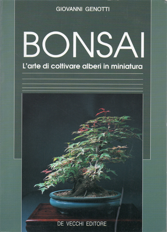 Bonsai. L'arte di coltivare alberi in miniatura