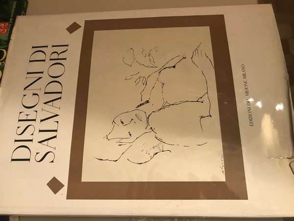 Disegni di Salvadori