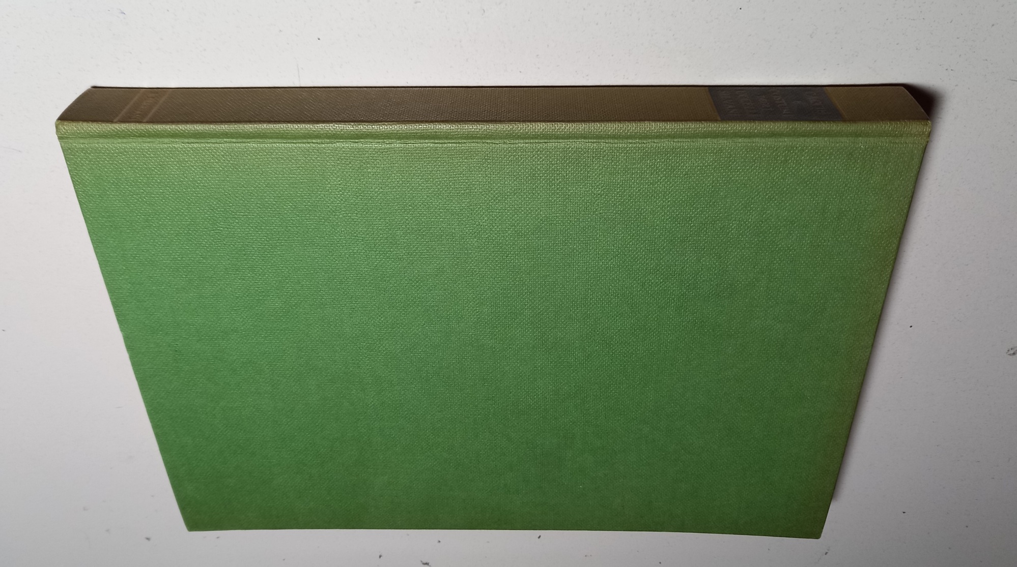 Caccie e costumi degli uccelli silvani