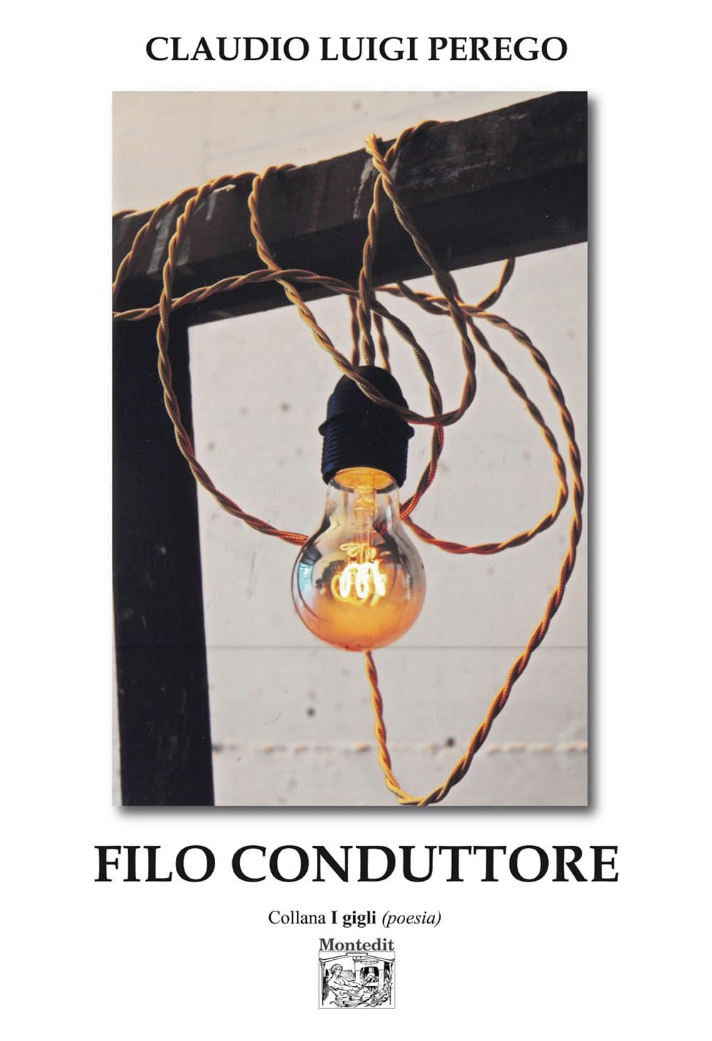 Filo conduttore