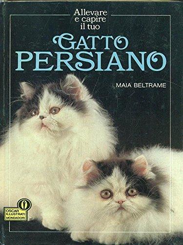 Gatto persiano