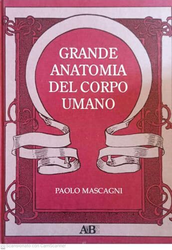 Grande anatomia del corpo umano