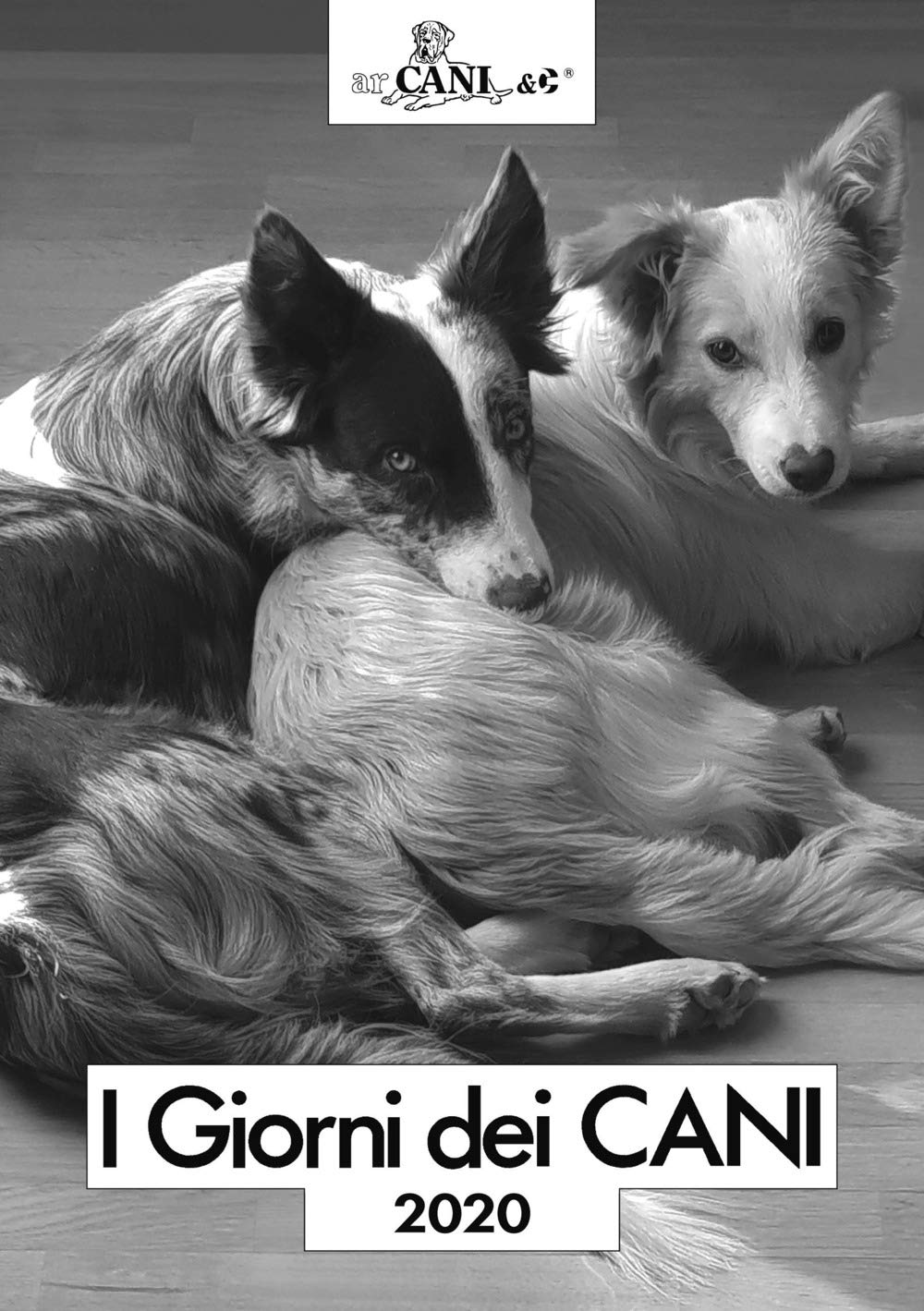 I giorni dei cani. Agenda 2020