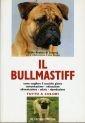 Il bullmastiff