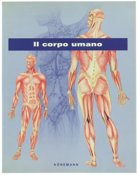 Il corpo umano