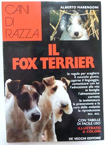 Il fox terrier