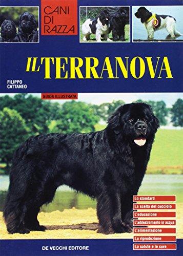 Il terranova