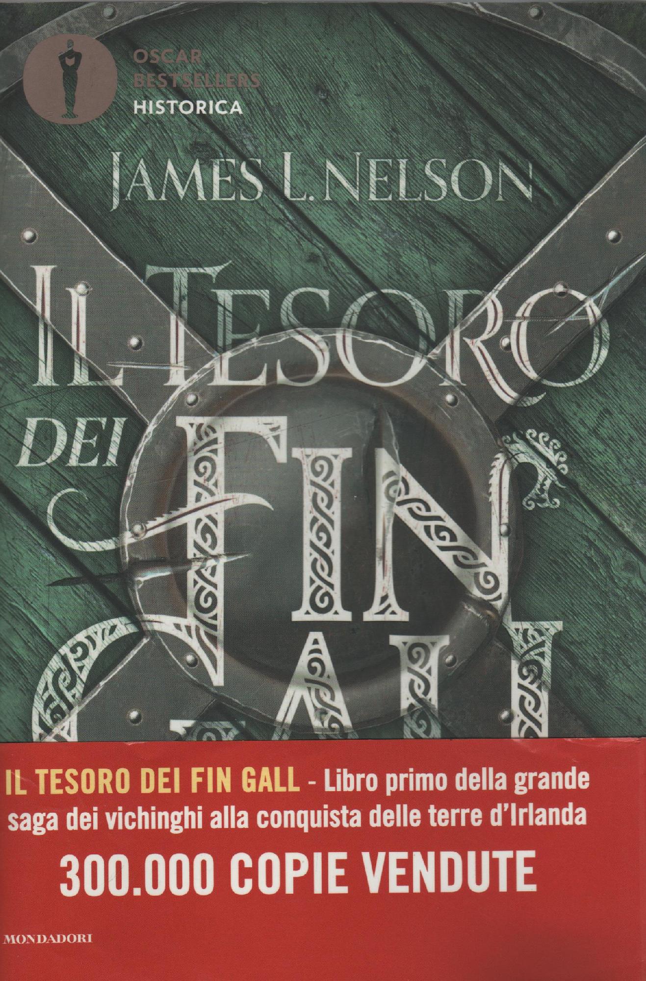 Il tesoro dei Fin Gall : libro primo della saga …
