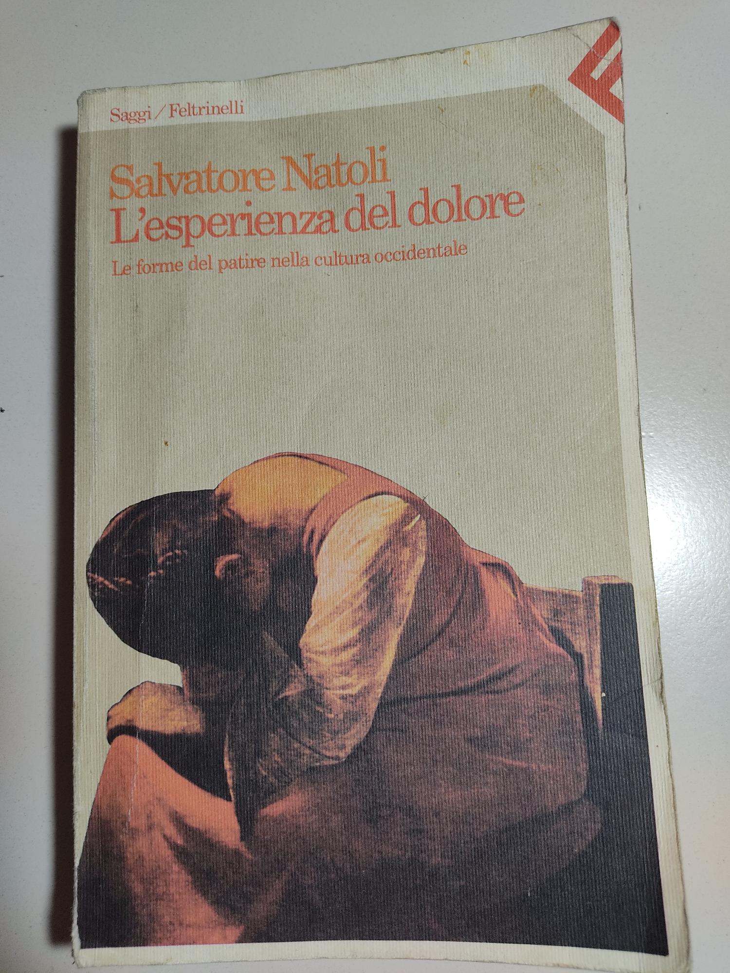 L'esperienza del dolore - Le forme del patire nella cultura …