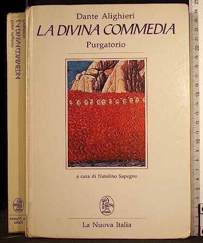 La divina commedia Purgatorio