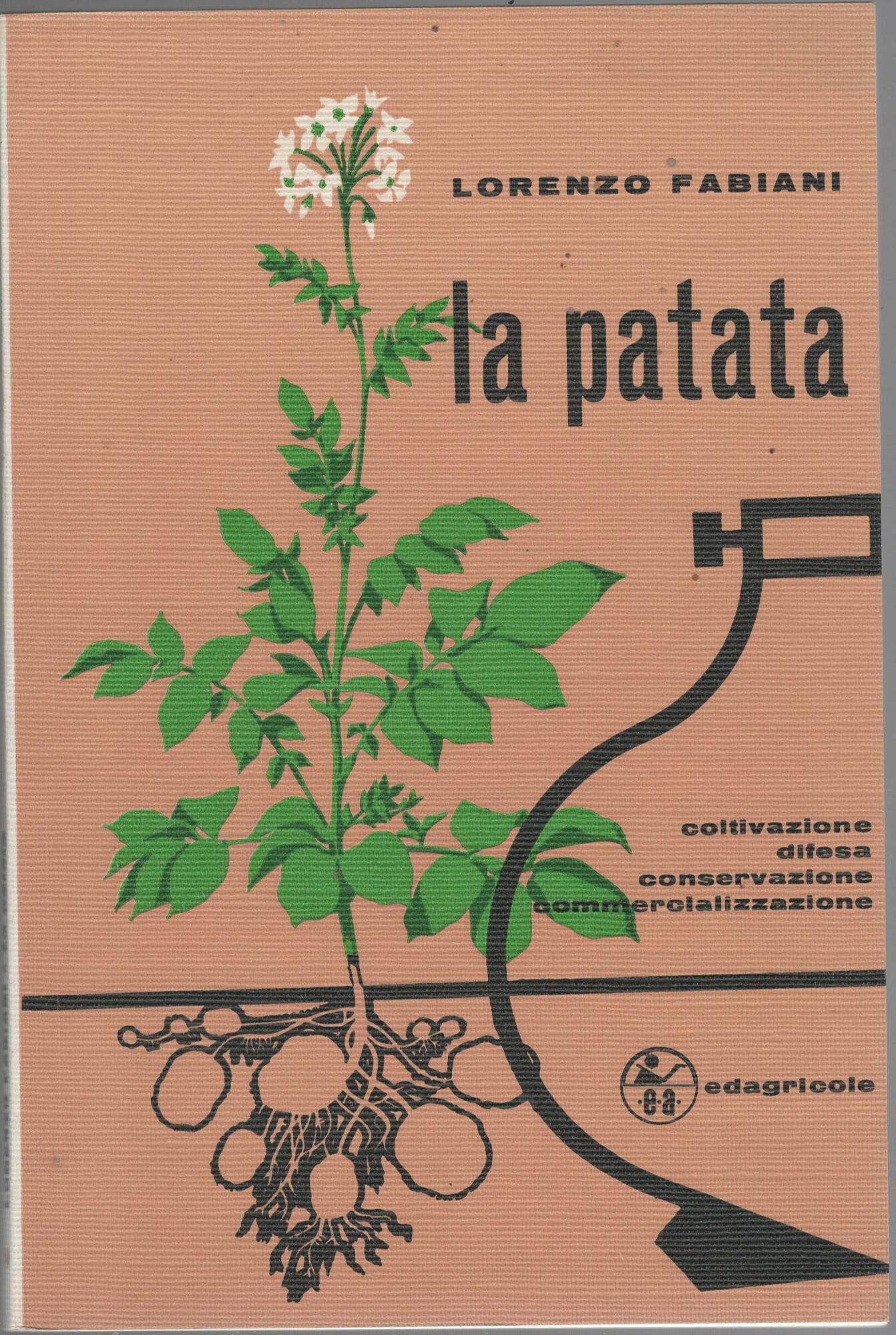 la patata