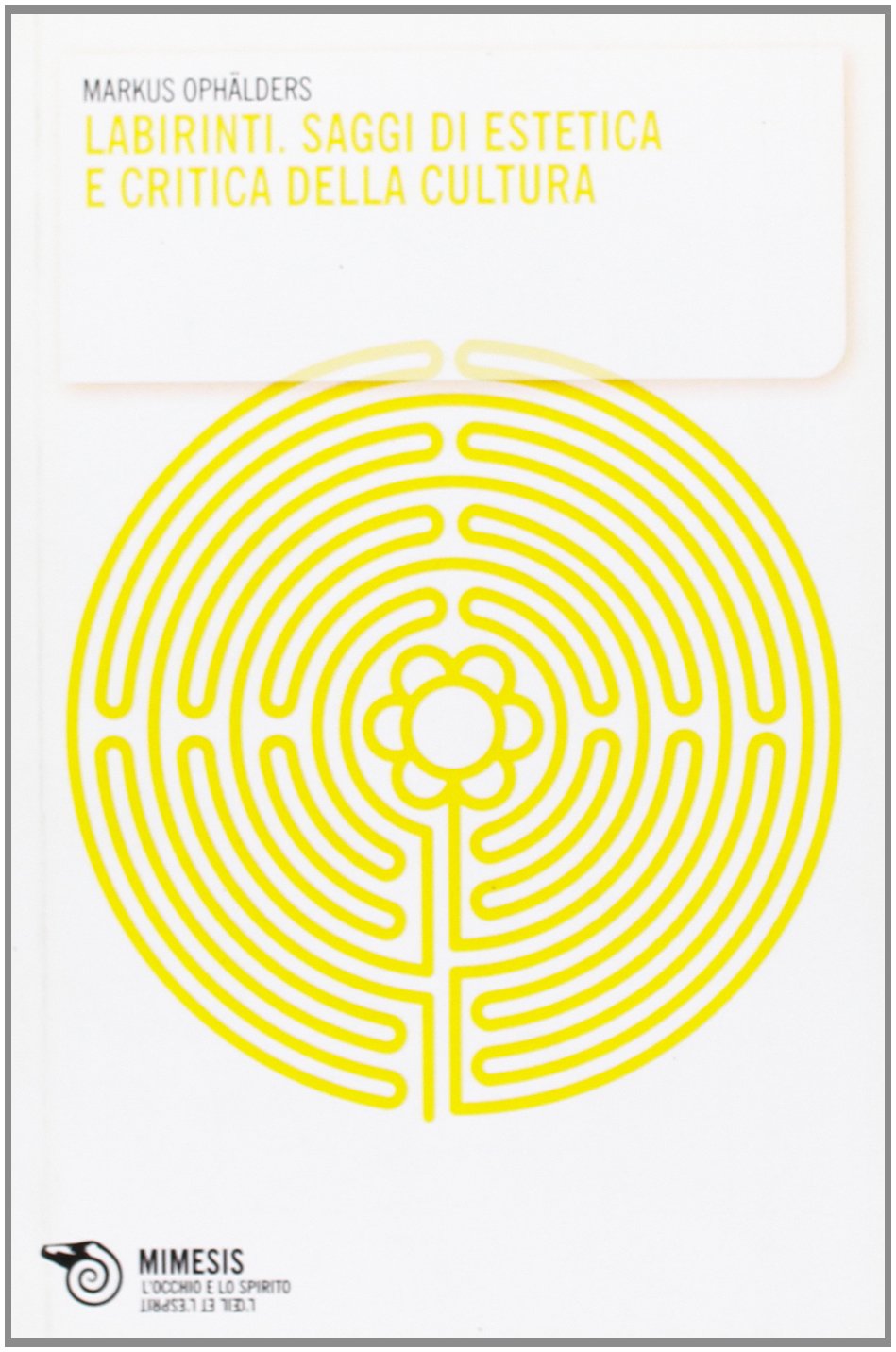 Labirinti. Saggi di estetica e critica della cultura