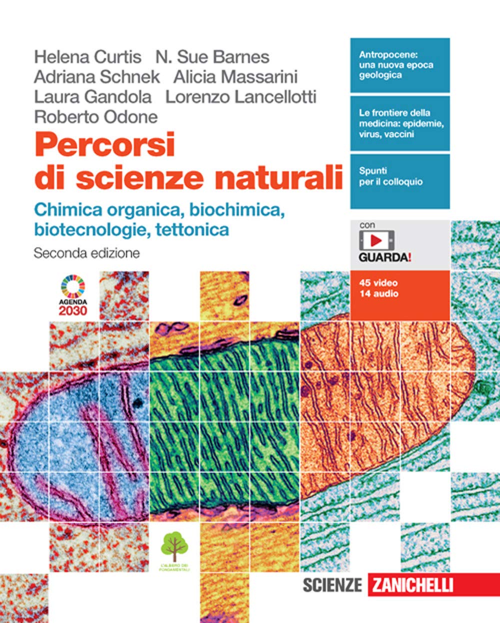 Percorsi di scienze naturali. Chimica organica, biochimica, biotecnologie, tettonica. Per …