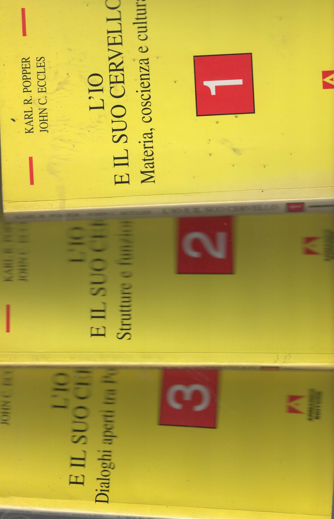 L'io e il suo cervello