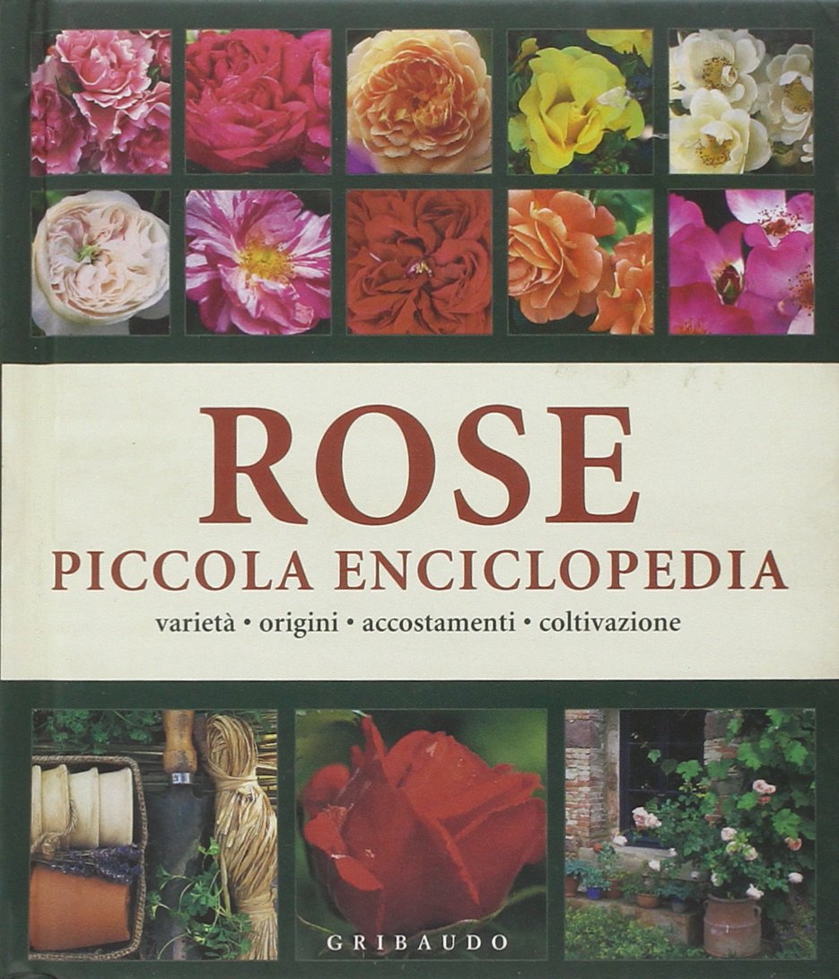 Rose. Piccola enciclopedia. Ediz. illustrata