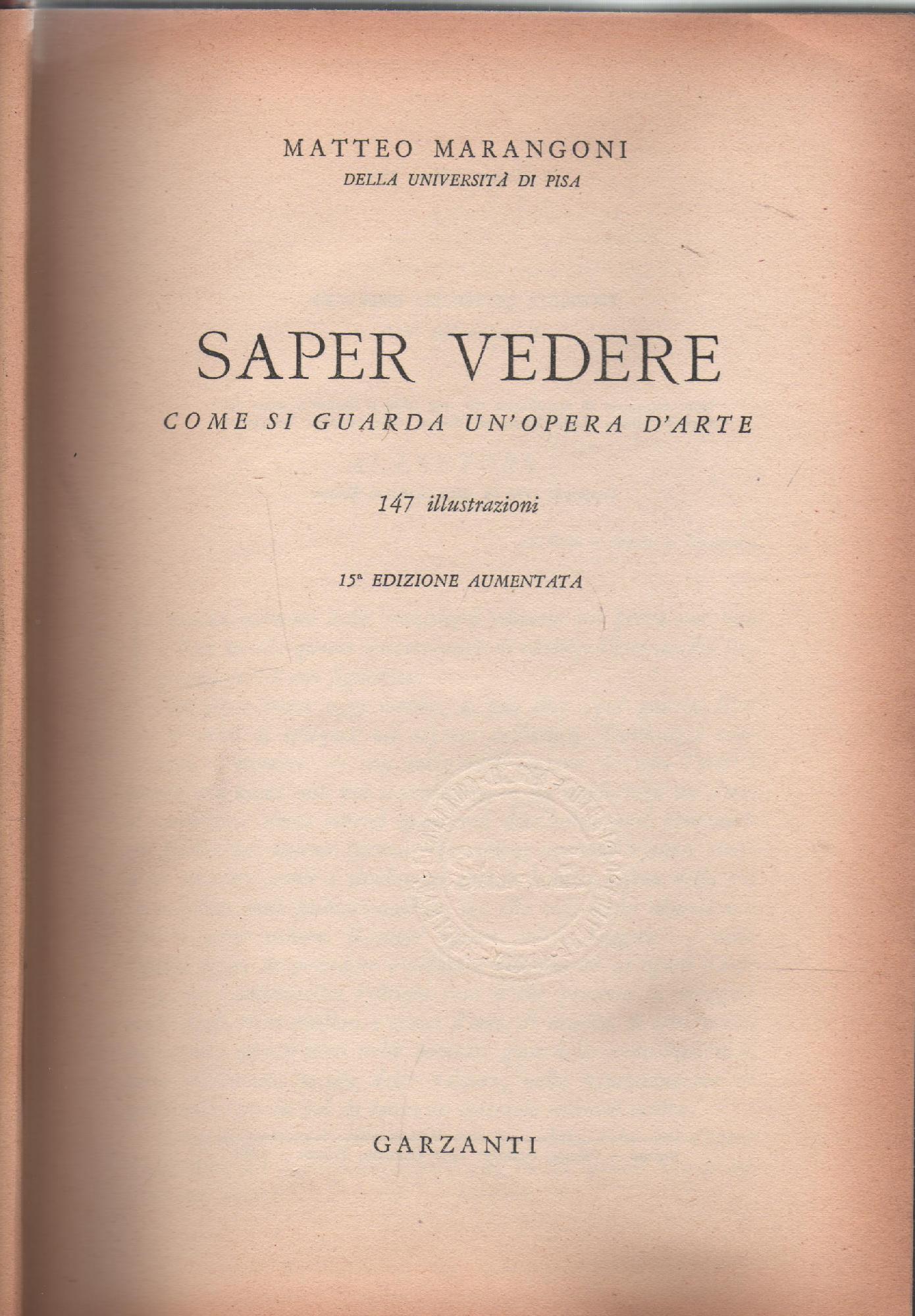 Saper vedere ,come si guarda un'opera d'arte