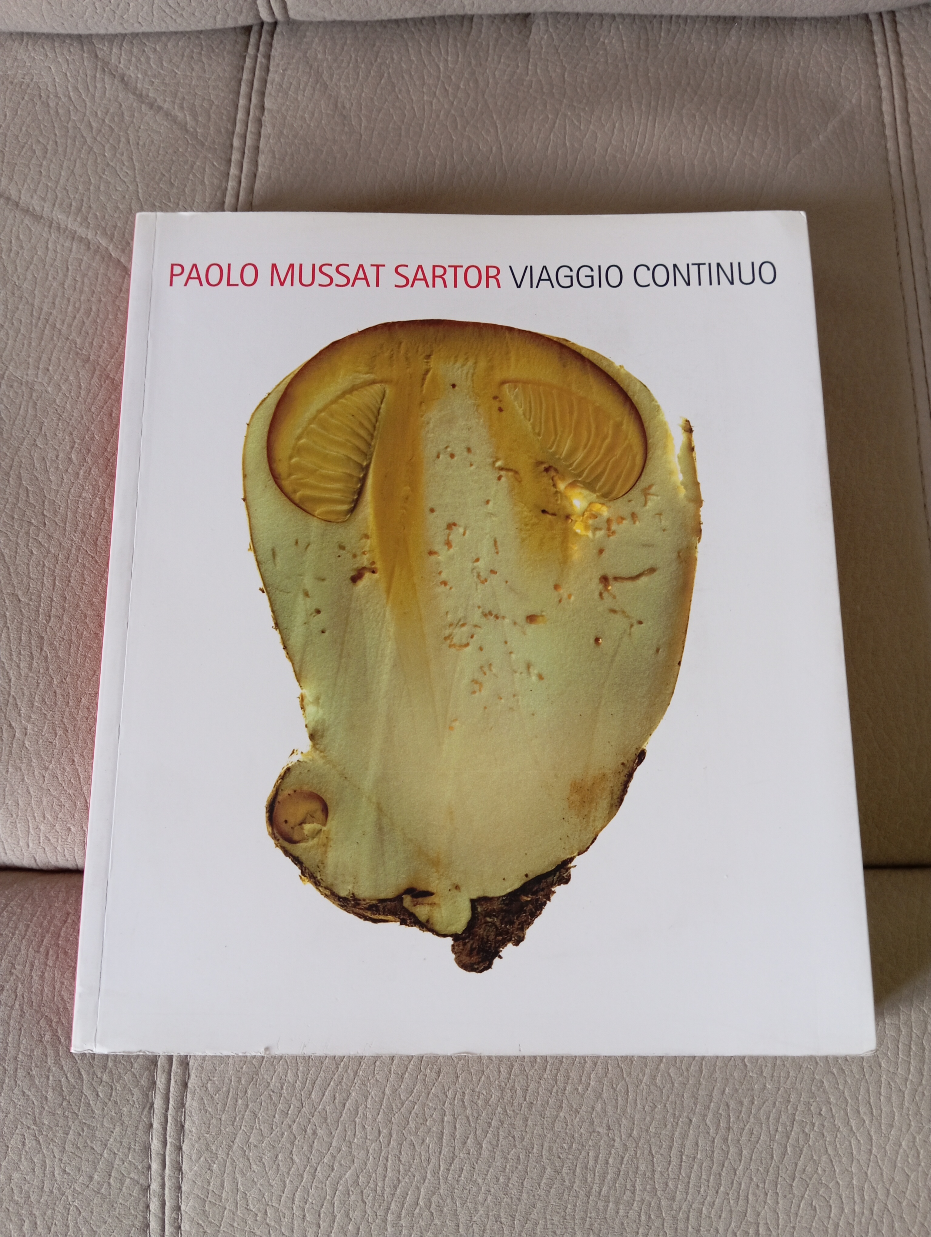 Paolo Mussat Sartor Viaggio continuo