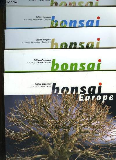 GAINSBOROUGH`S BEAUTIFUL MRS. GRAHAM