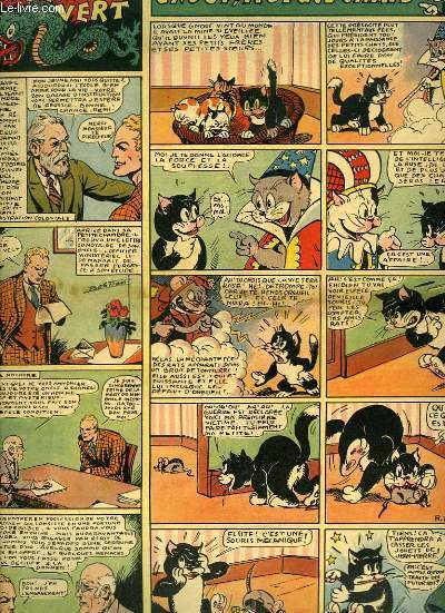 REGARD CAPTIF - COLLECTION ORDONEZ FALCON