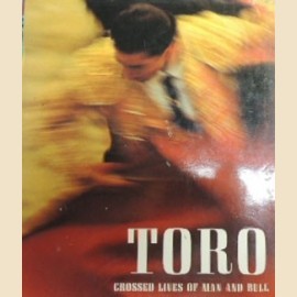 MANUELE CERUTTI. GLEISCHES ZU GLEICHEM