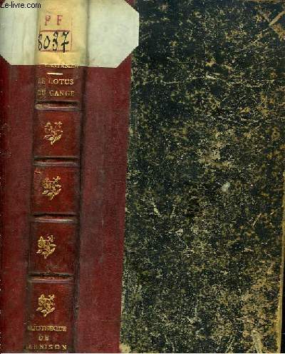 LUPO (IL), UNA STORIA CULTURALE