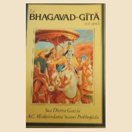 MAGICO POTERE DEL RIORDINO (IL)