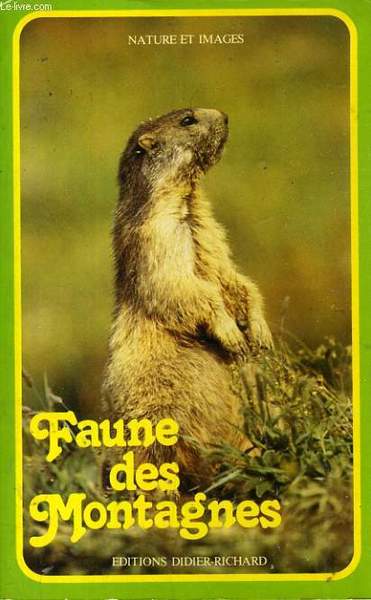 GRANDE DECORAZIONE A GENOVA VOL.1