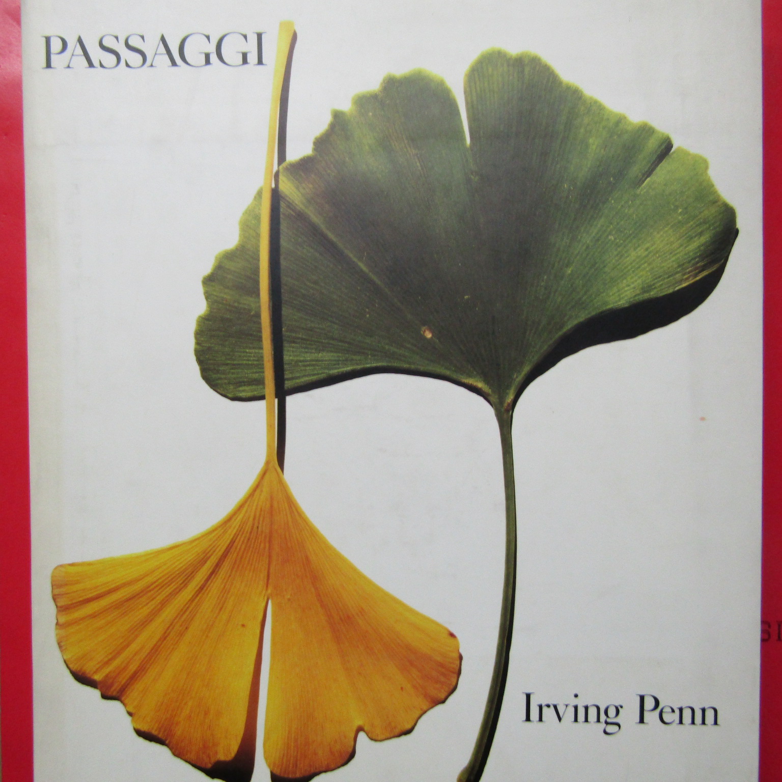 Passaggi