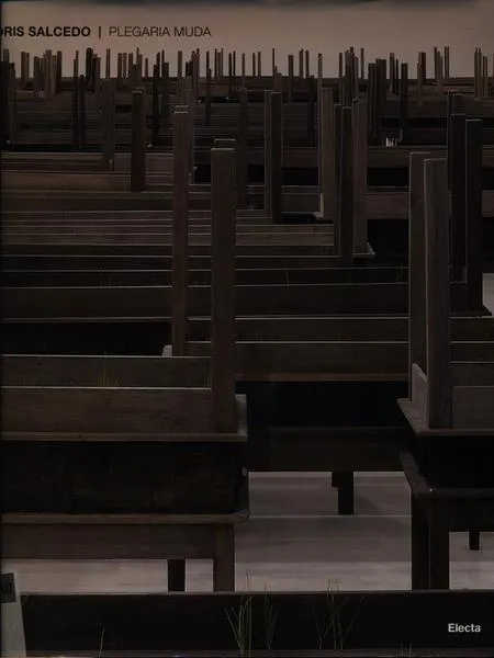 Doris Salcedo Plegaria Muda