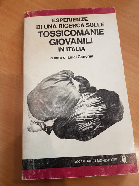 Esperienze di una ricerca sulle tossicomanie giovanili in Italia