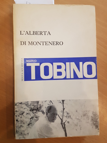 L'Alberta di Montenero