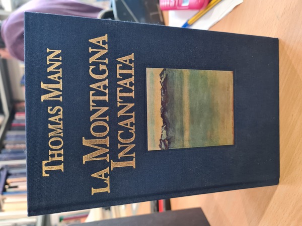 La montagna incantata