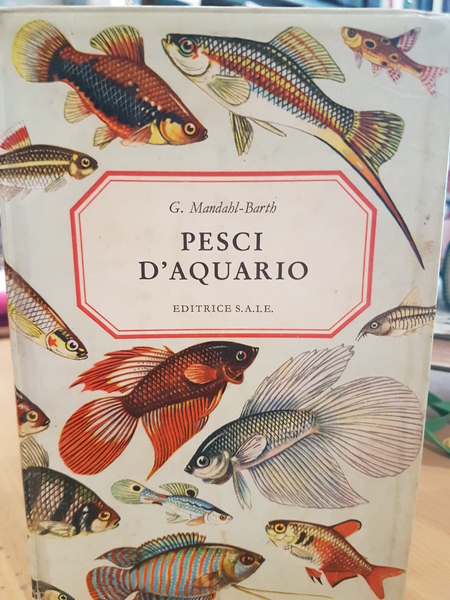 Pesci d'acquario