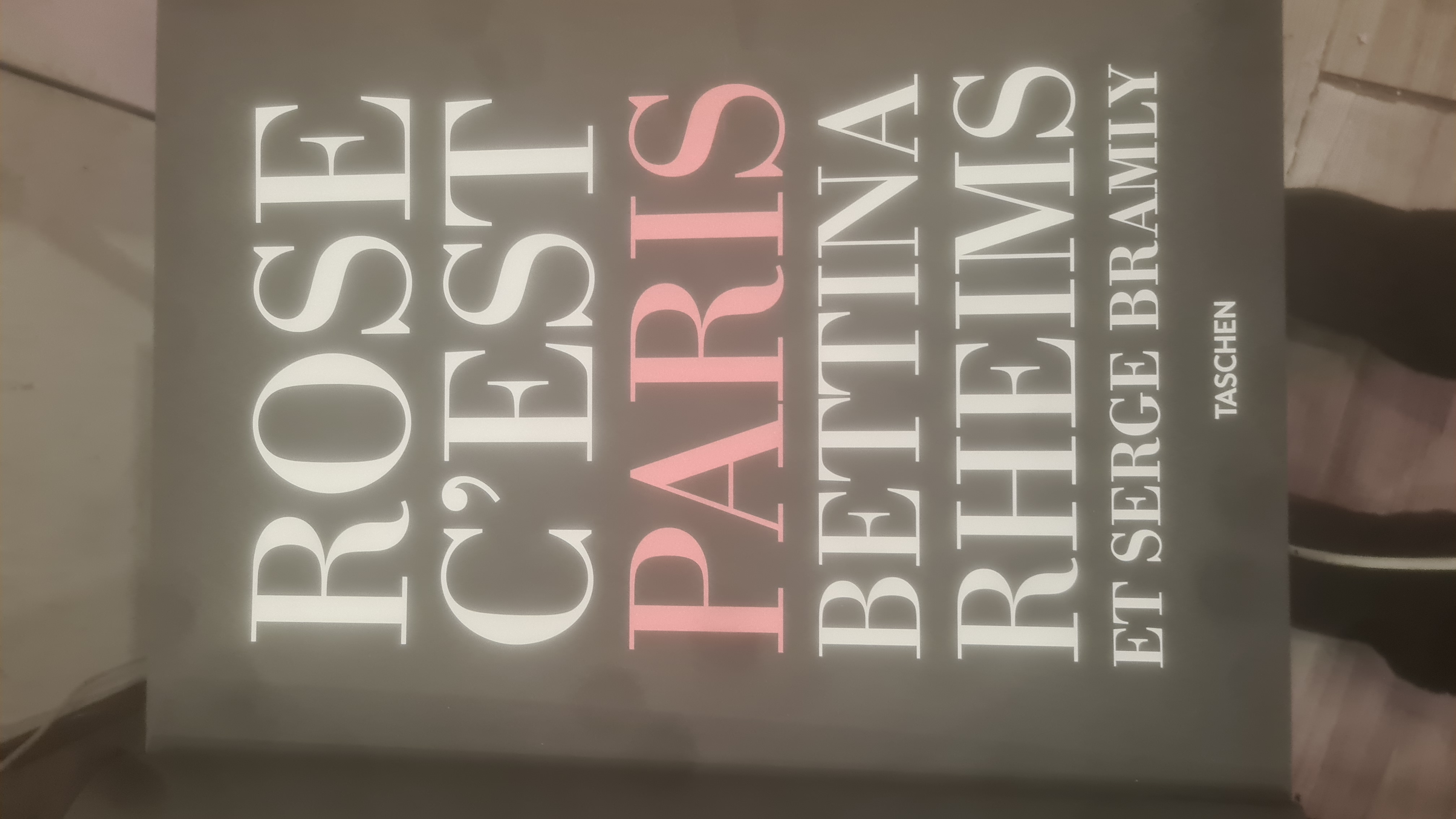 Rose, c'est Paris - BETTINA RHEIMS ET SERGE BRAMLY