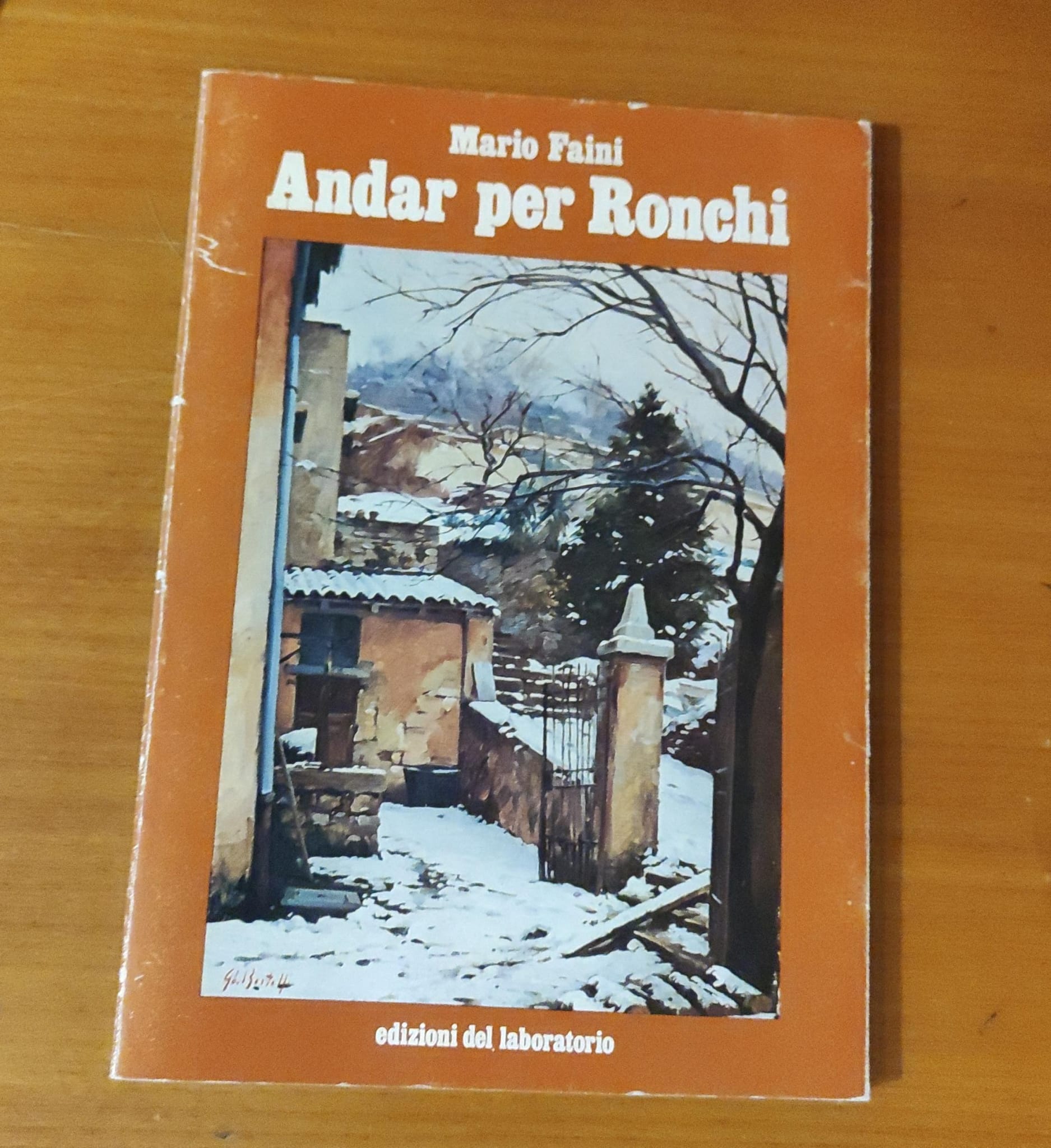 Andar per Ronchi