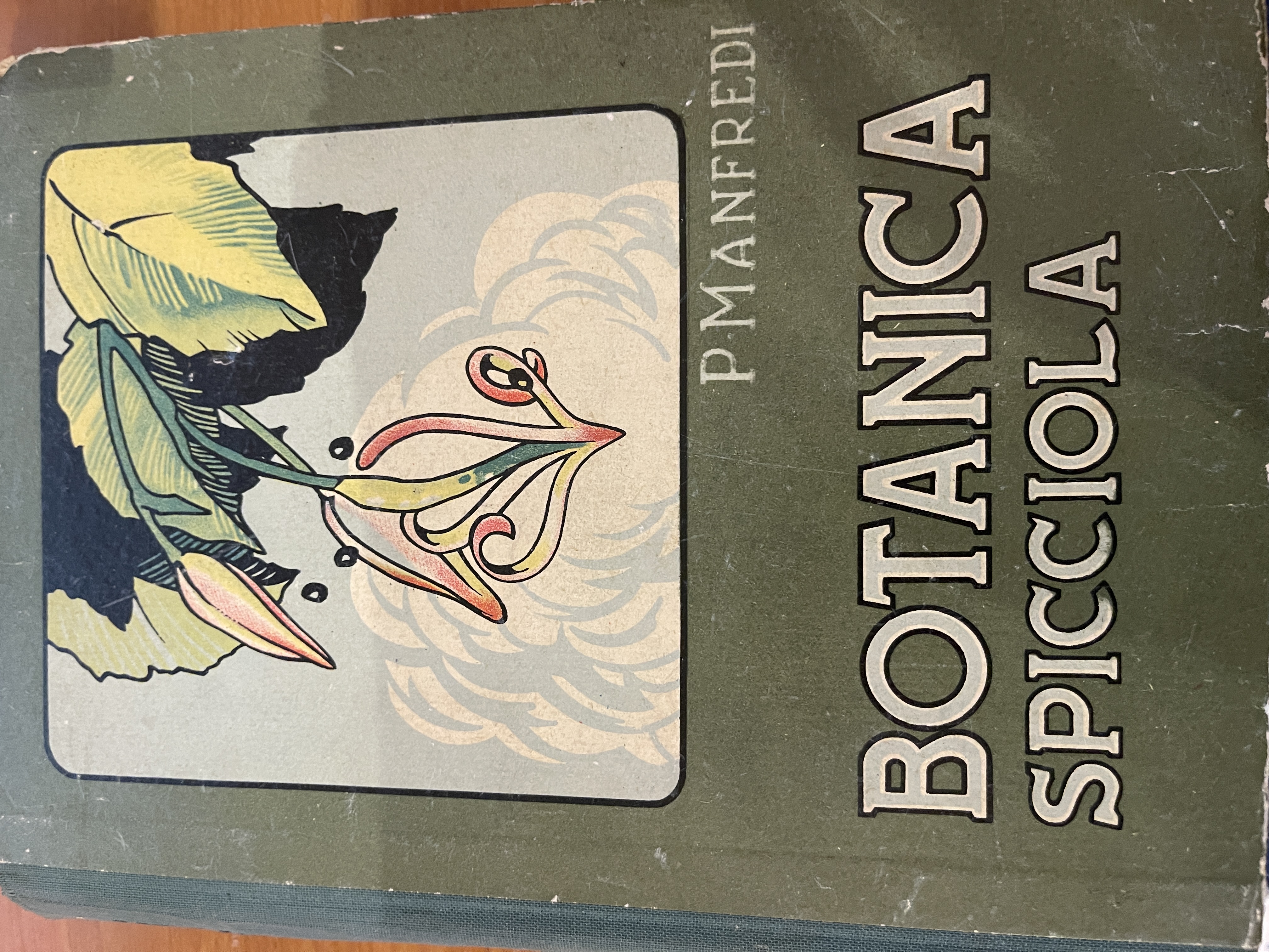 Botanica Spicciola