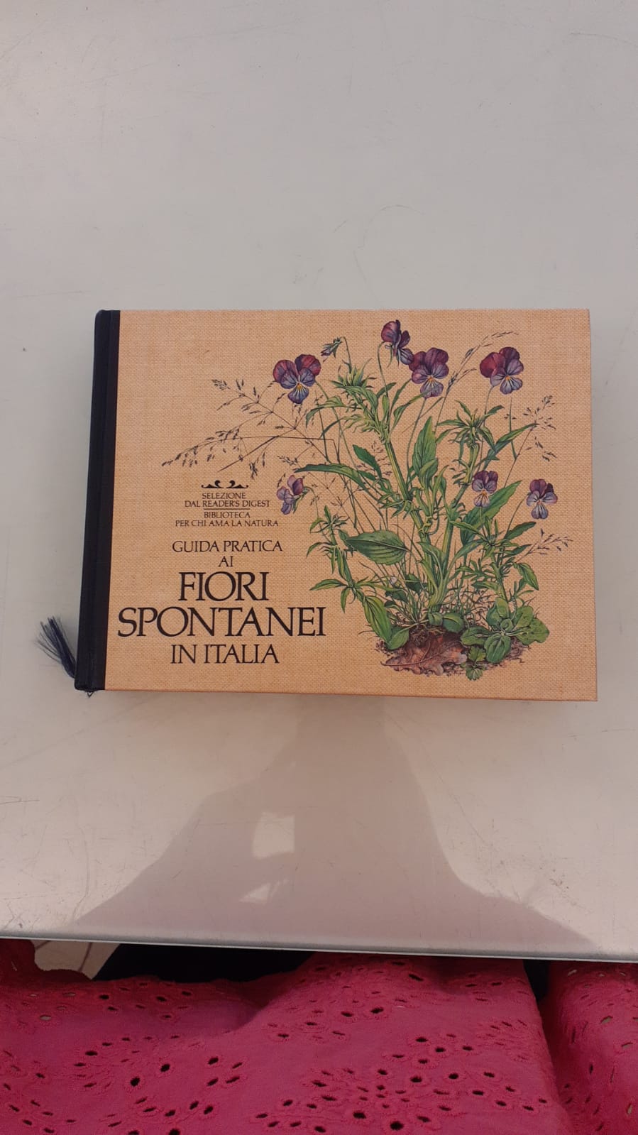 Guida pratica ai fiori spontanei in Italia