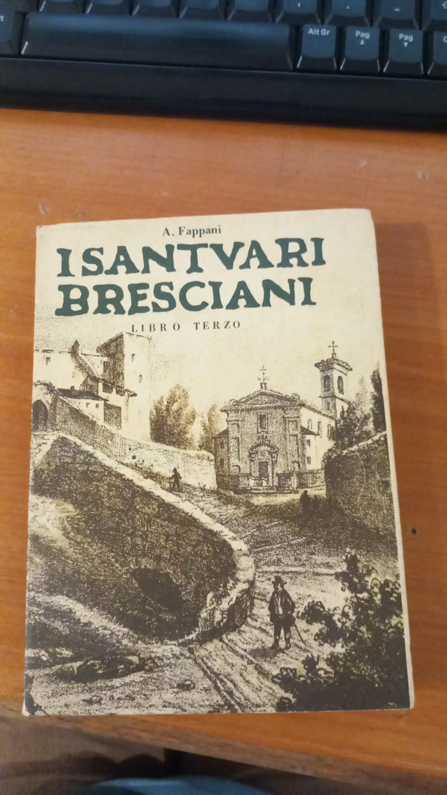 I santuari bresciani. Libro terzo