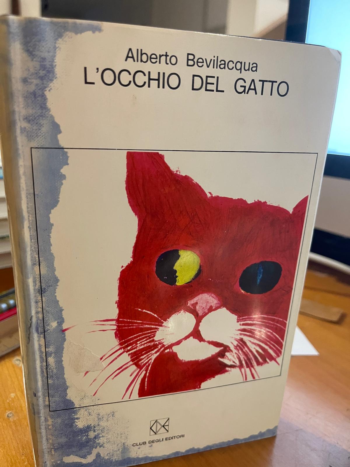 L'occhio del gatto