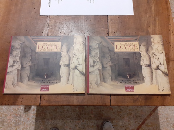 Voyage en Egypte. David Roberts