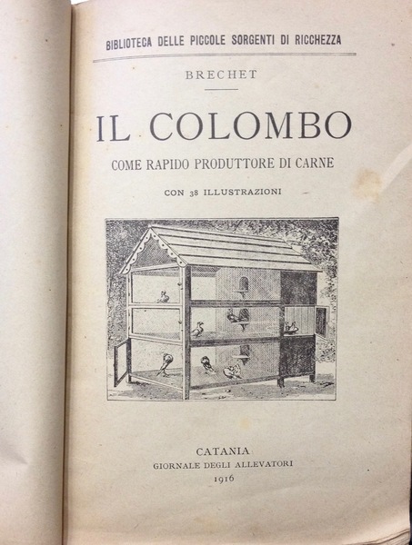IL COLOMBO COME RAPIDO PRODUTTORE DI CARNE