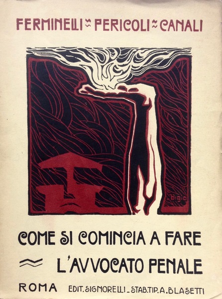 COME SI COMINCIA A FARE L'AVVOCATO PENALE le norme, le …
