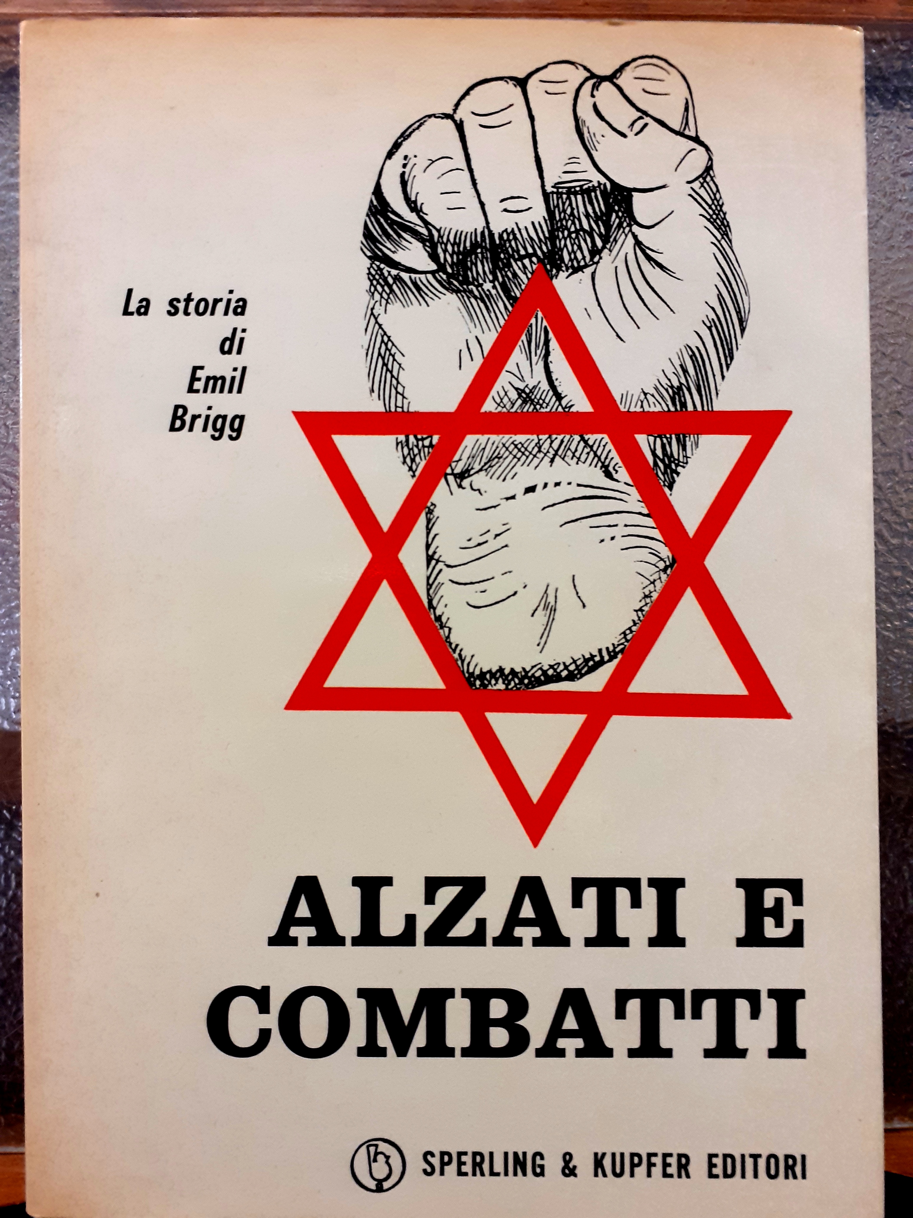 ALZATI E COMBATTI: LA STORIA DI EMIL BRIGG.
