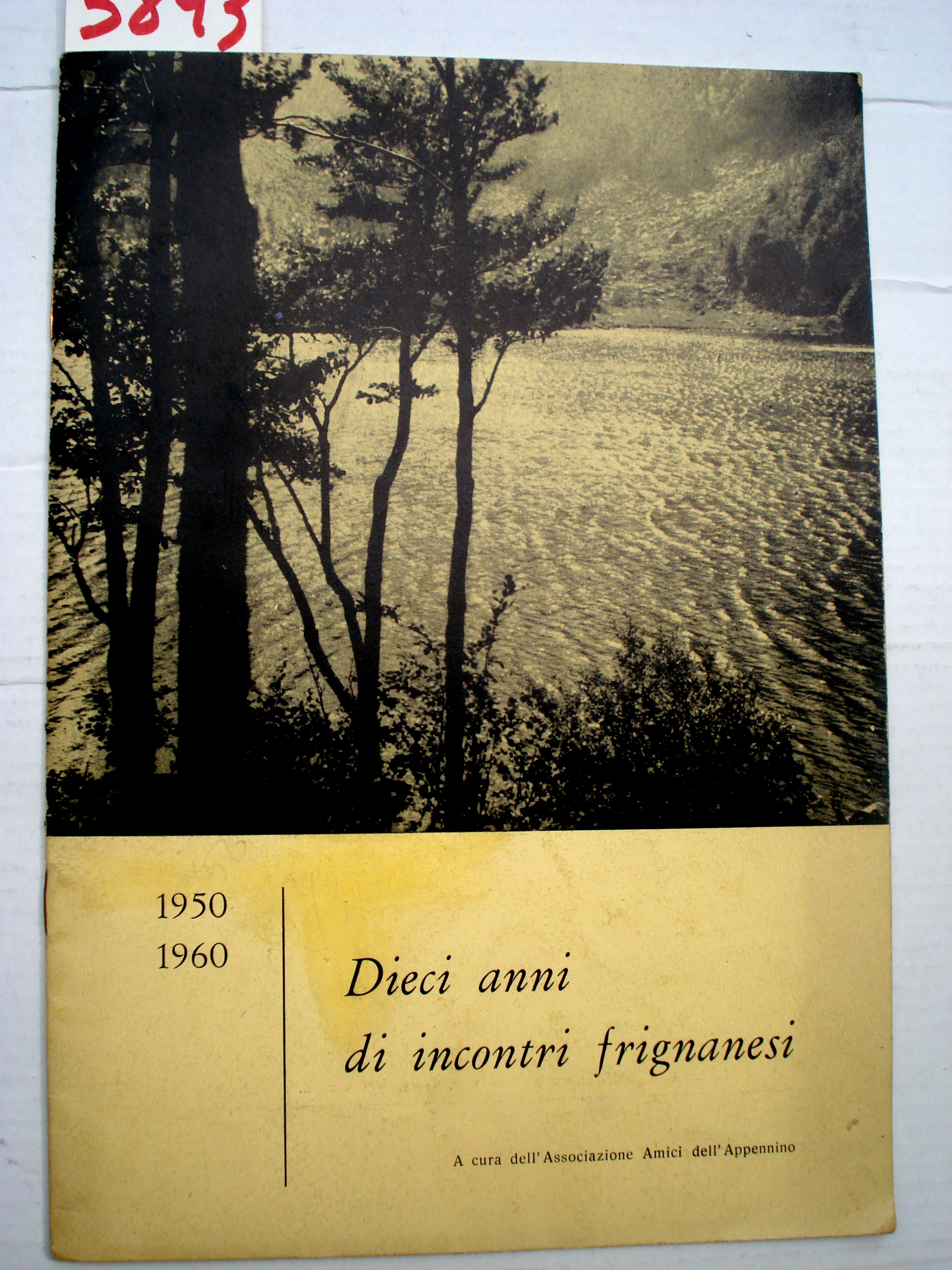 DIECI ANNI DI INCONTRI FRIGNANESI 1950-1960. A cura dell' Associazione …