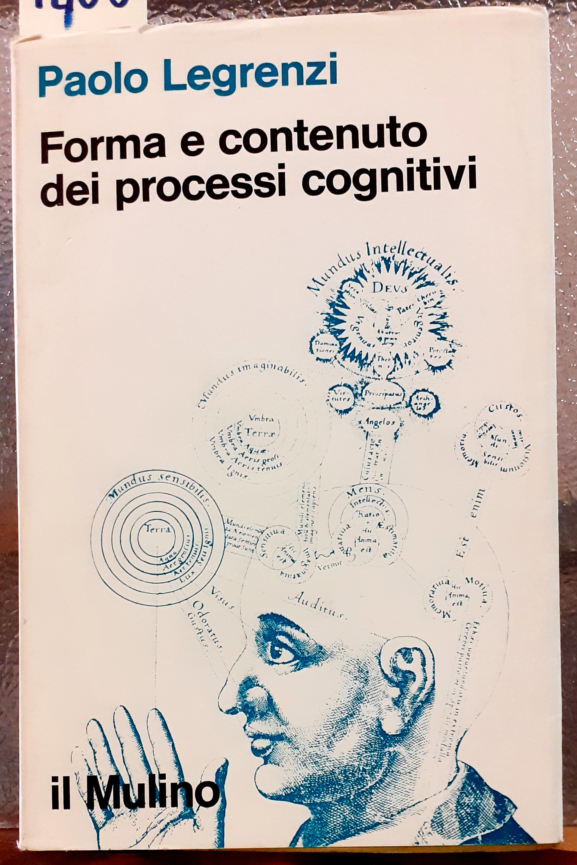 FORMA E CONTENUTO DEI PROCESSI COGNITIVI.