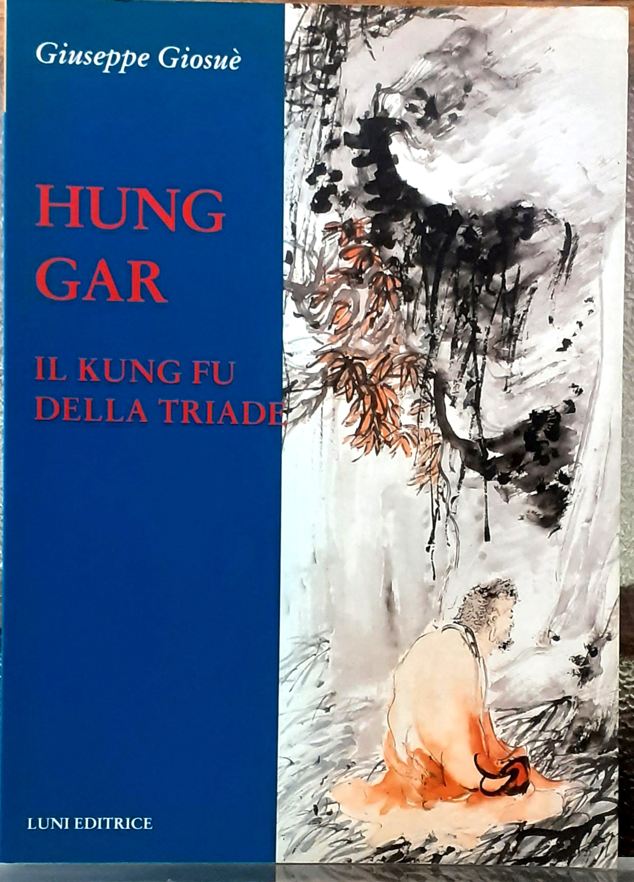 HUNG GAR. IL KUNG FU DELLA TRIADE.