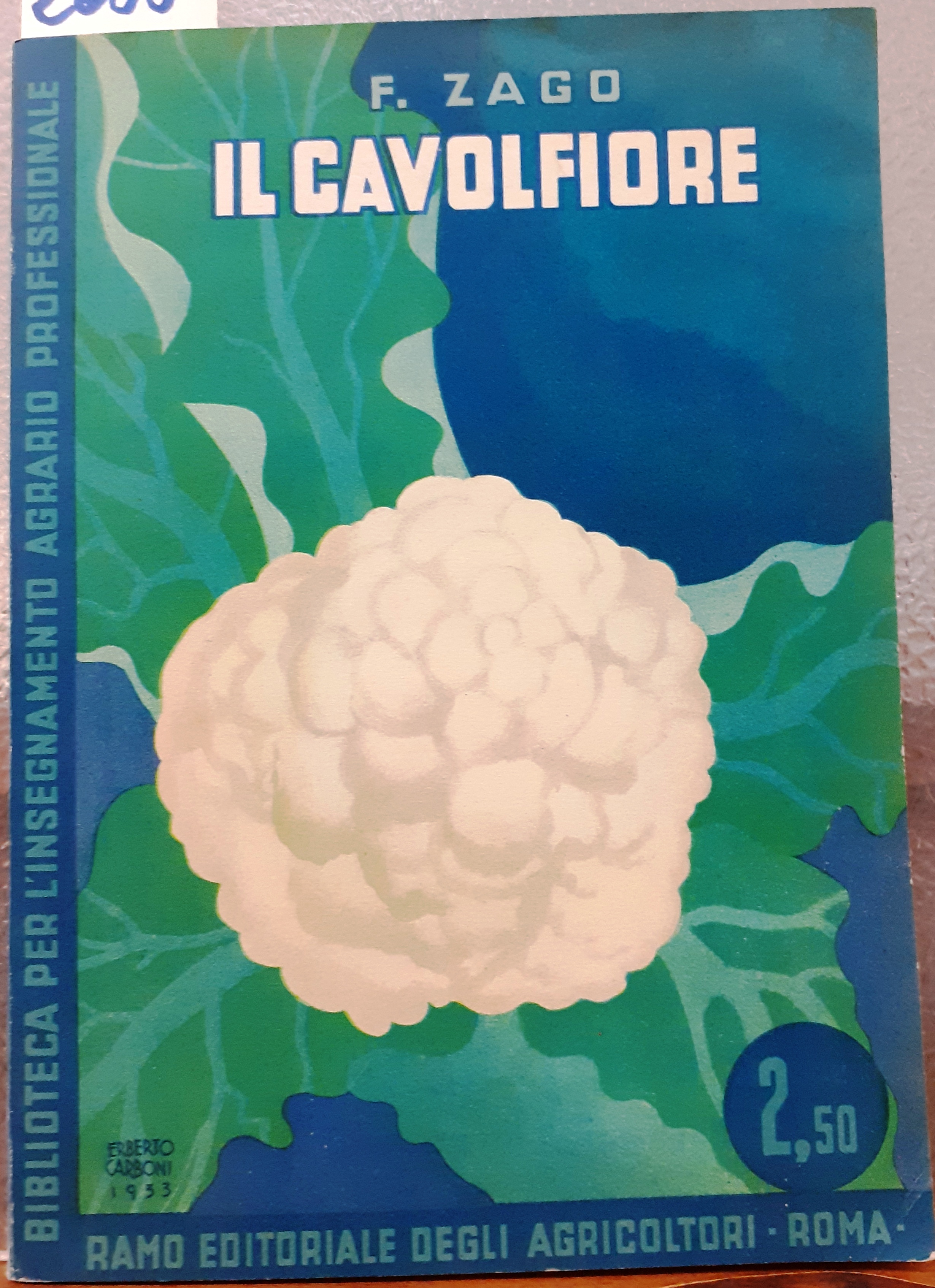 IL CAVOLFIORE.