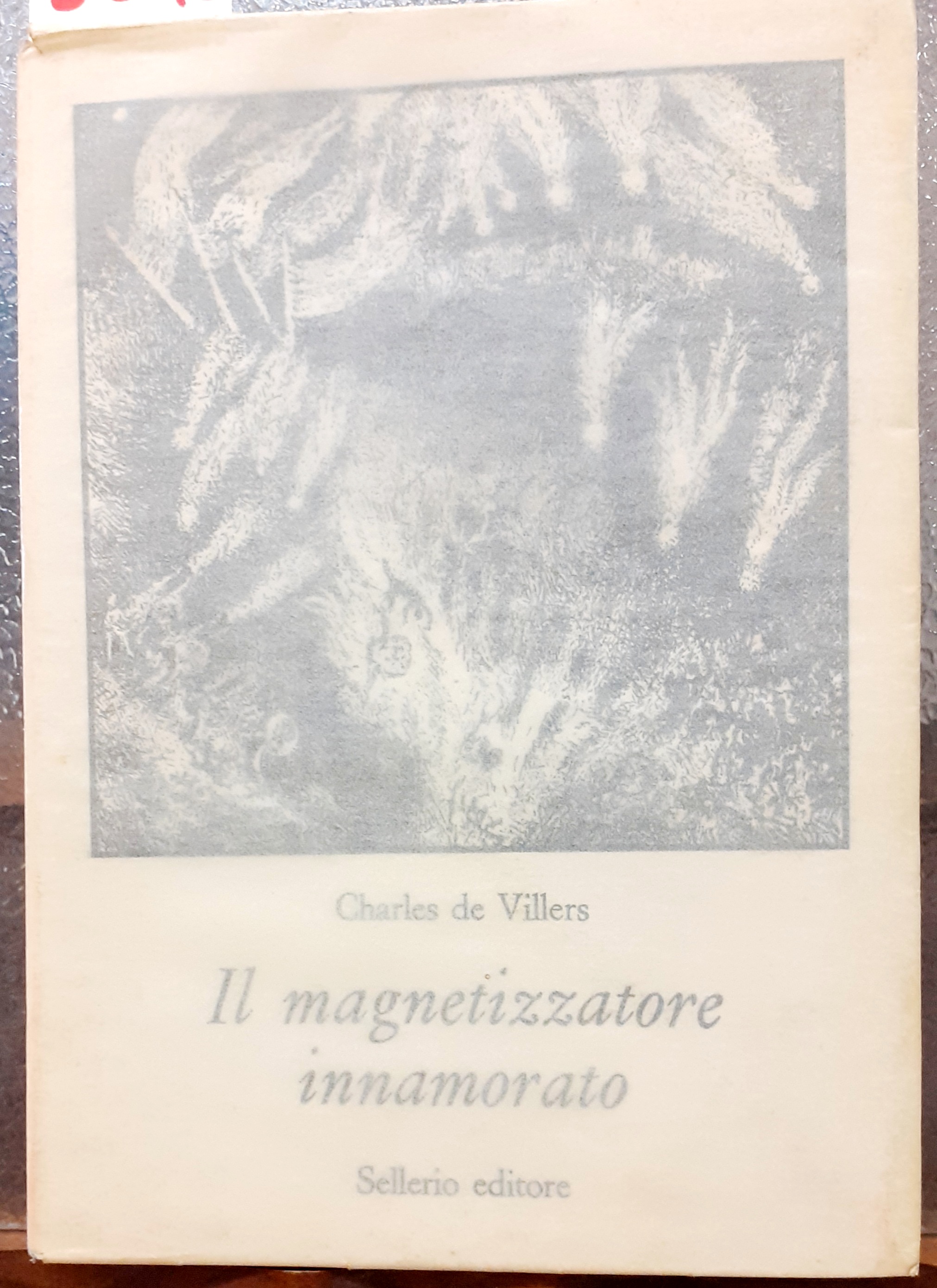 IL MAGNETIZZATORE INNAMORATO.