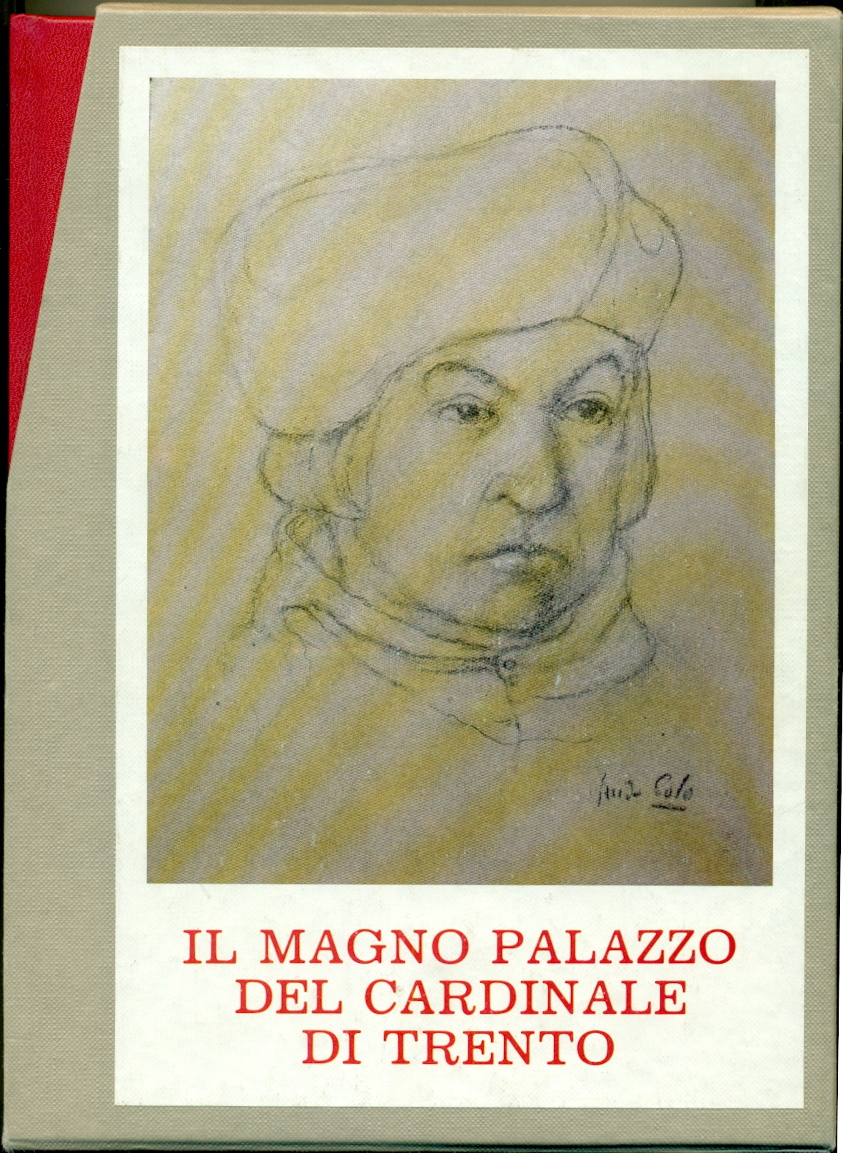 IL MAGNO PALAZZO DEL CARDINALE DI TRENTO: impressioni visive ed …