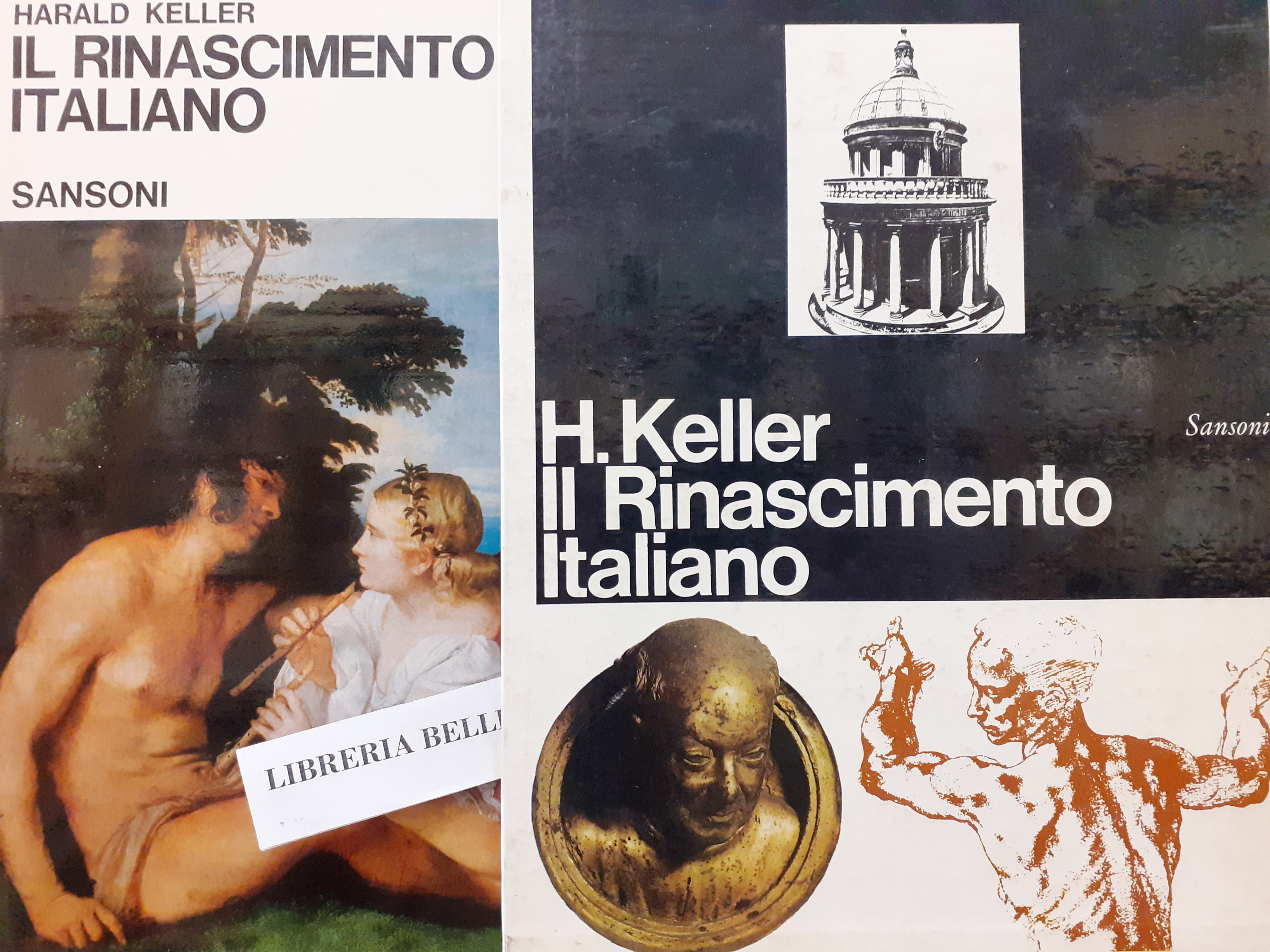 IL RINASCIMENTO ITALIANO.